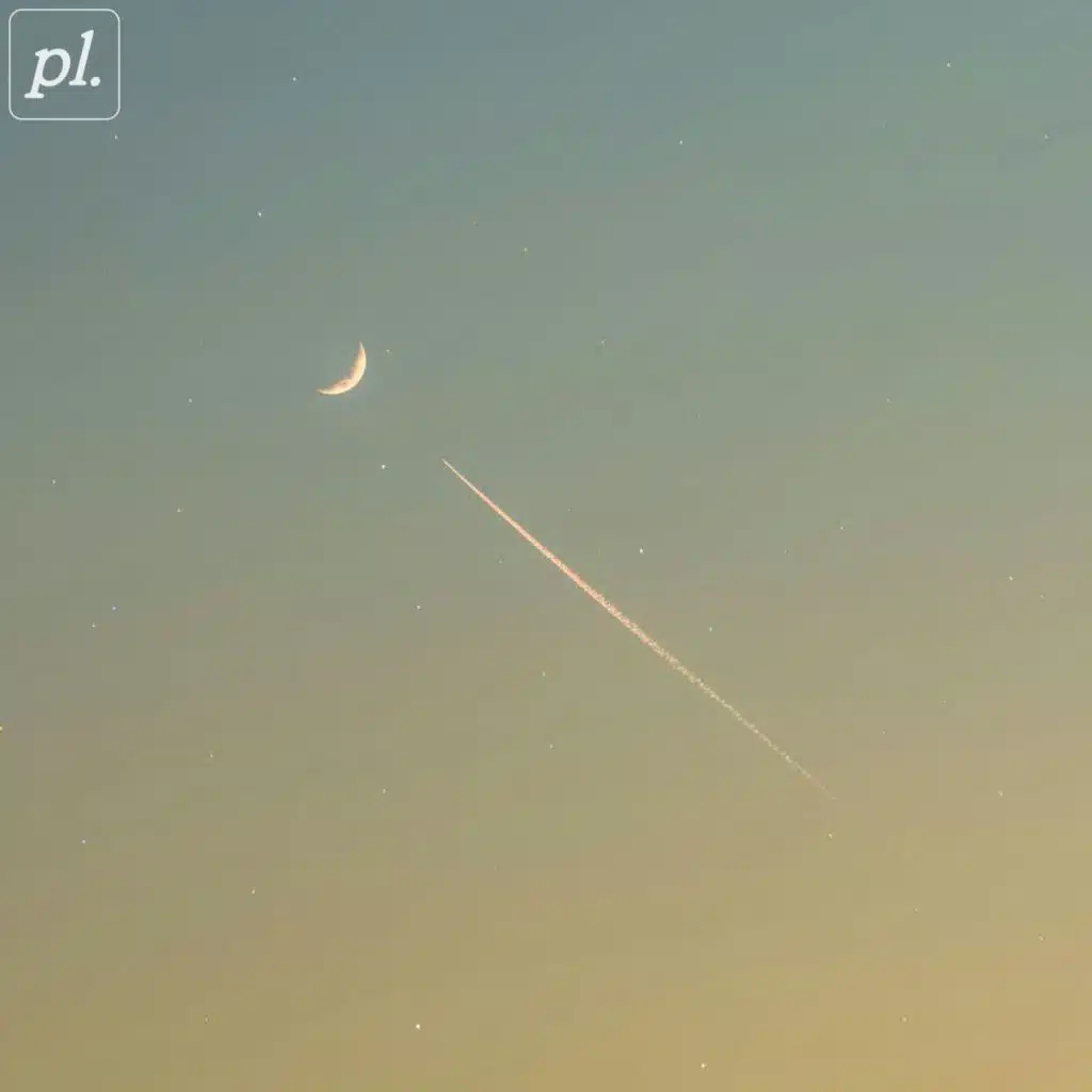 luv pug & spaniel mac