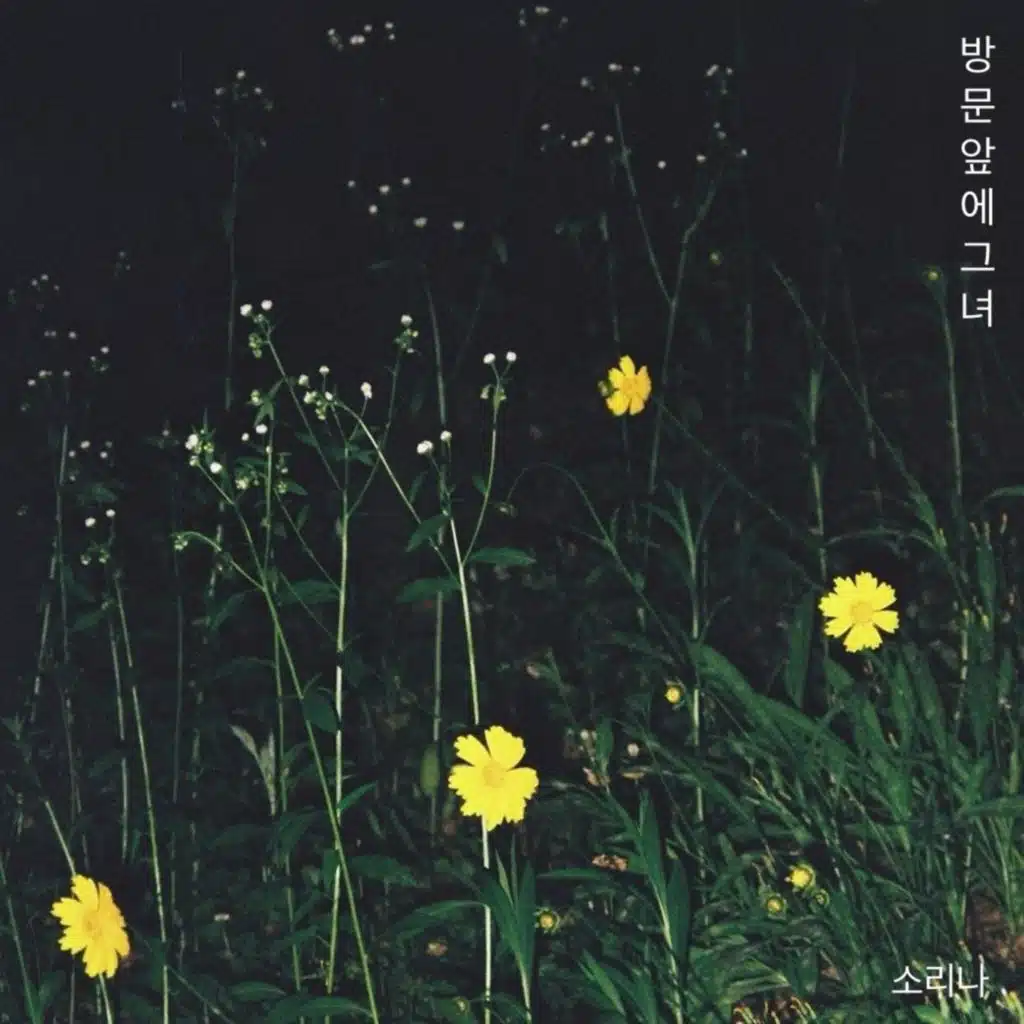 방문 앞에 그녀