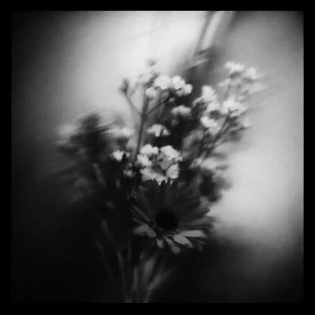 Stillness