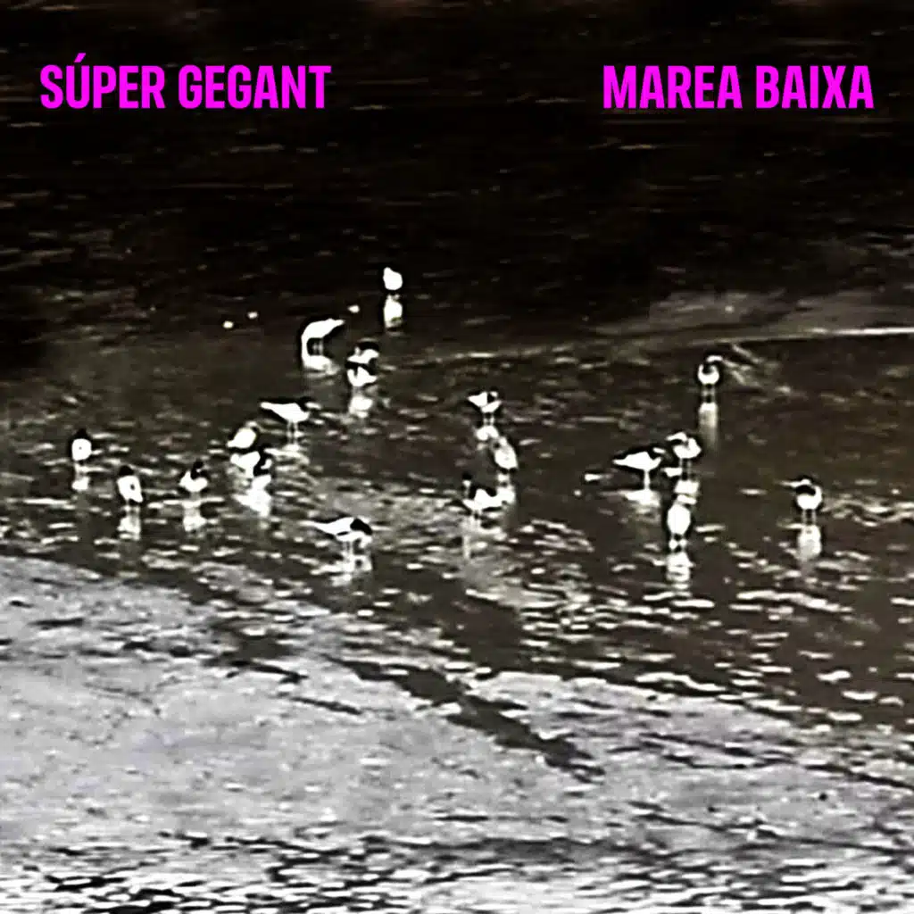 Súper Gegant, Claudi Herreros, Marcel Mercadé & Miquel Bernis