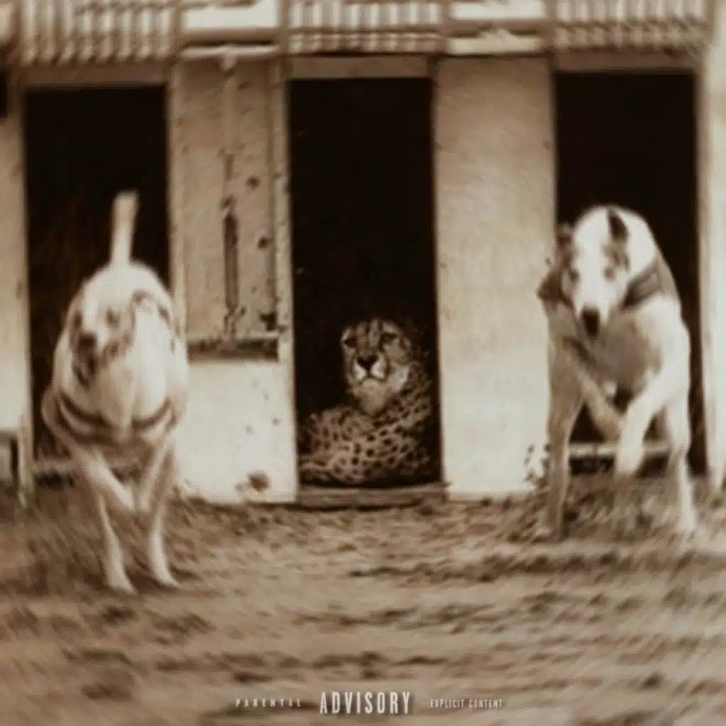 Nothing More To Prove