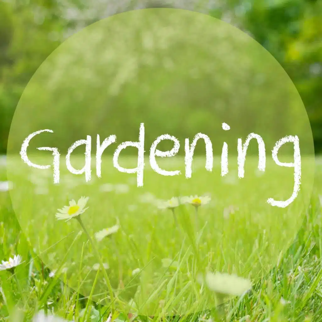 Ask the Expert: Gardening with Brian Burke