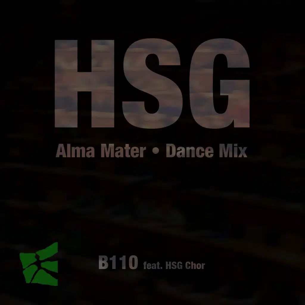 Hsg