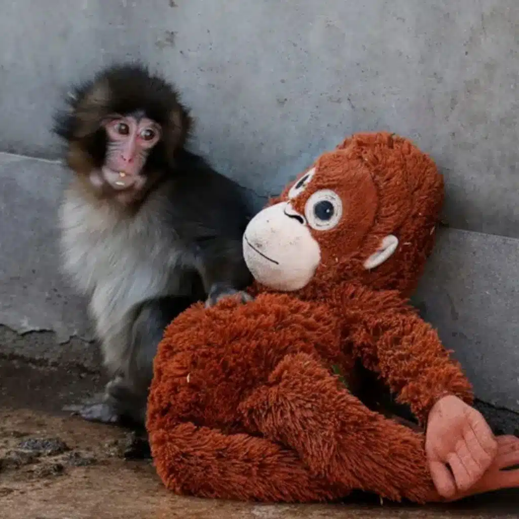 328: Shared Resources, Shared Problems