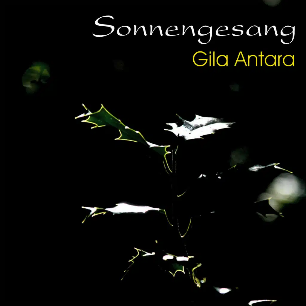 Sonnengesang