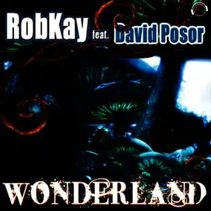 Wonderland (Crystal Rock Remix Edit)