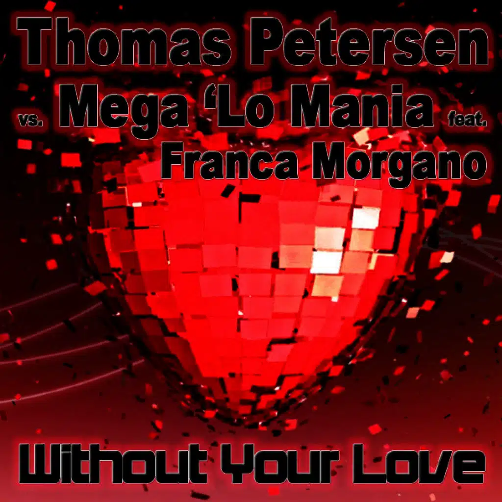 Without Your Love (Accuface High Energy Remix)