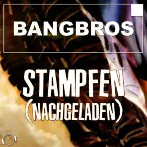 Stampfen (Nachgeladen) [Alva Edison Remix Edit]
