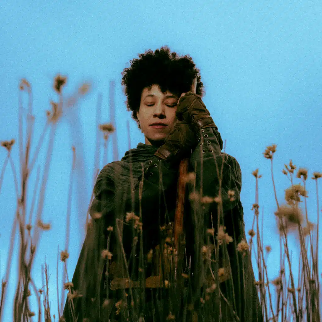 Wander