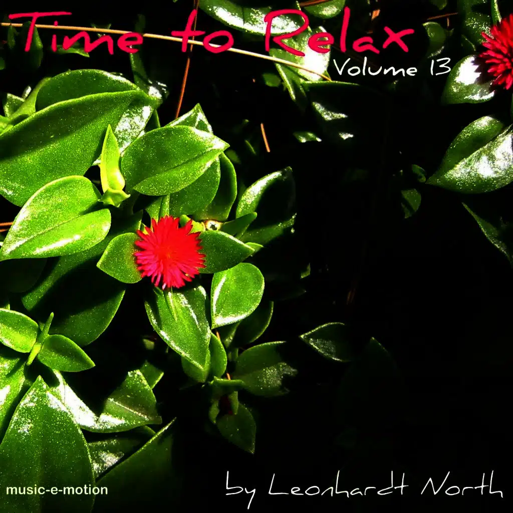 Time to Relax Vol. 13