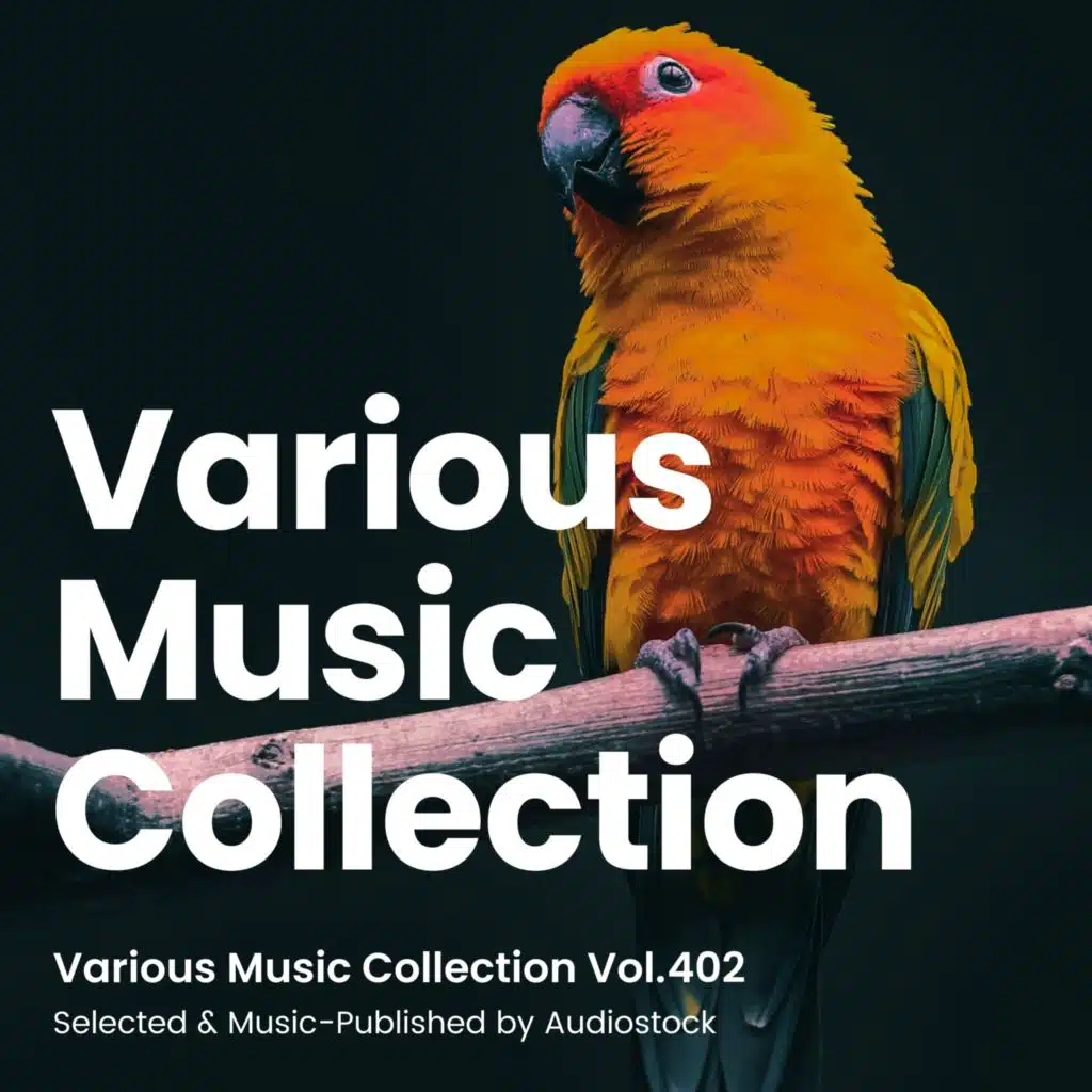 Various Music Collection Vol.402 -Selected & Music-Published by Audiostock-
