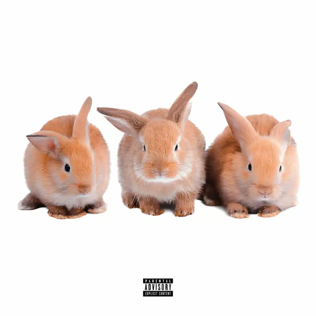 LOLA BUNNY