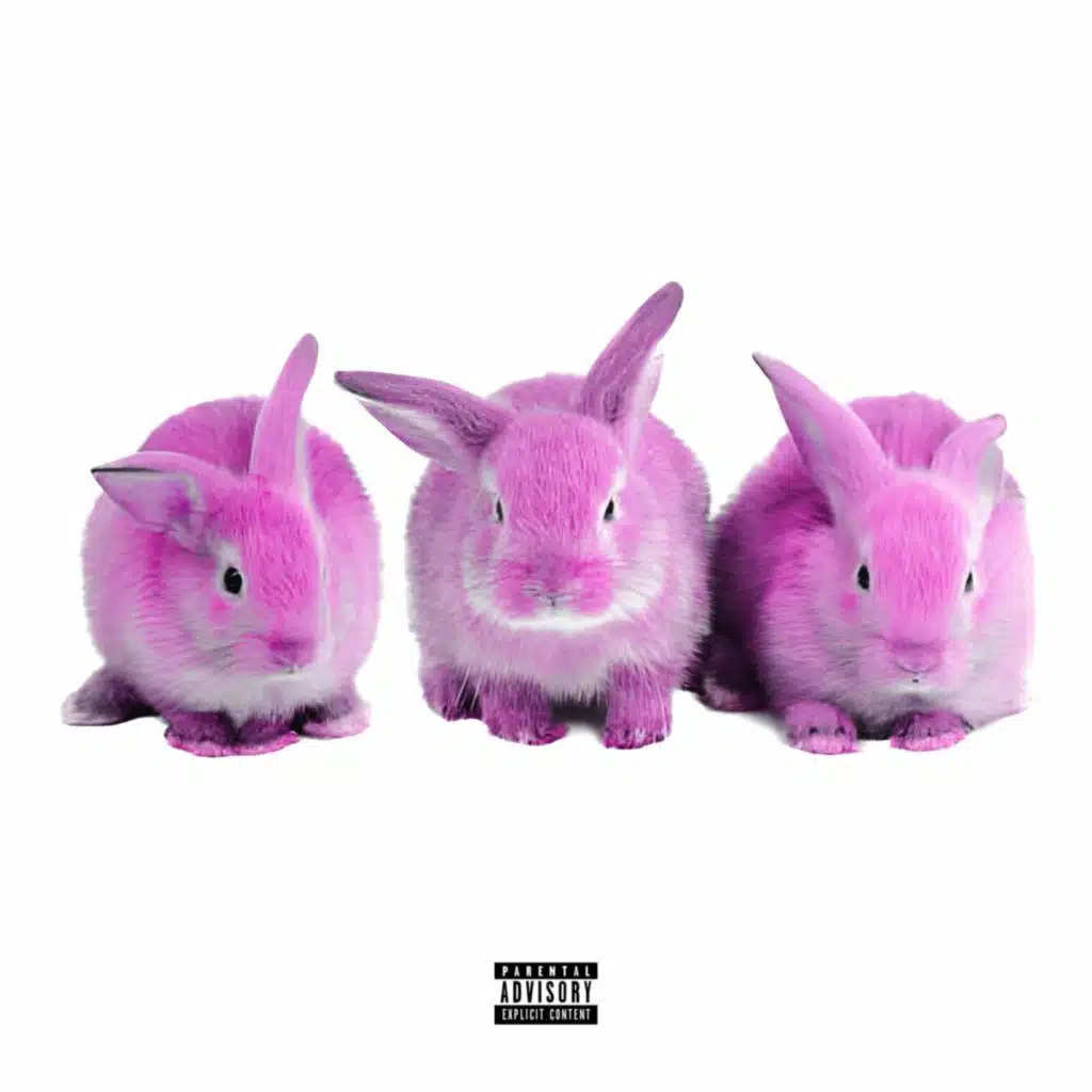 LOLA BUNNY (Slowed Down)