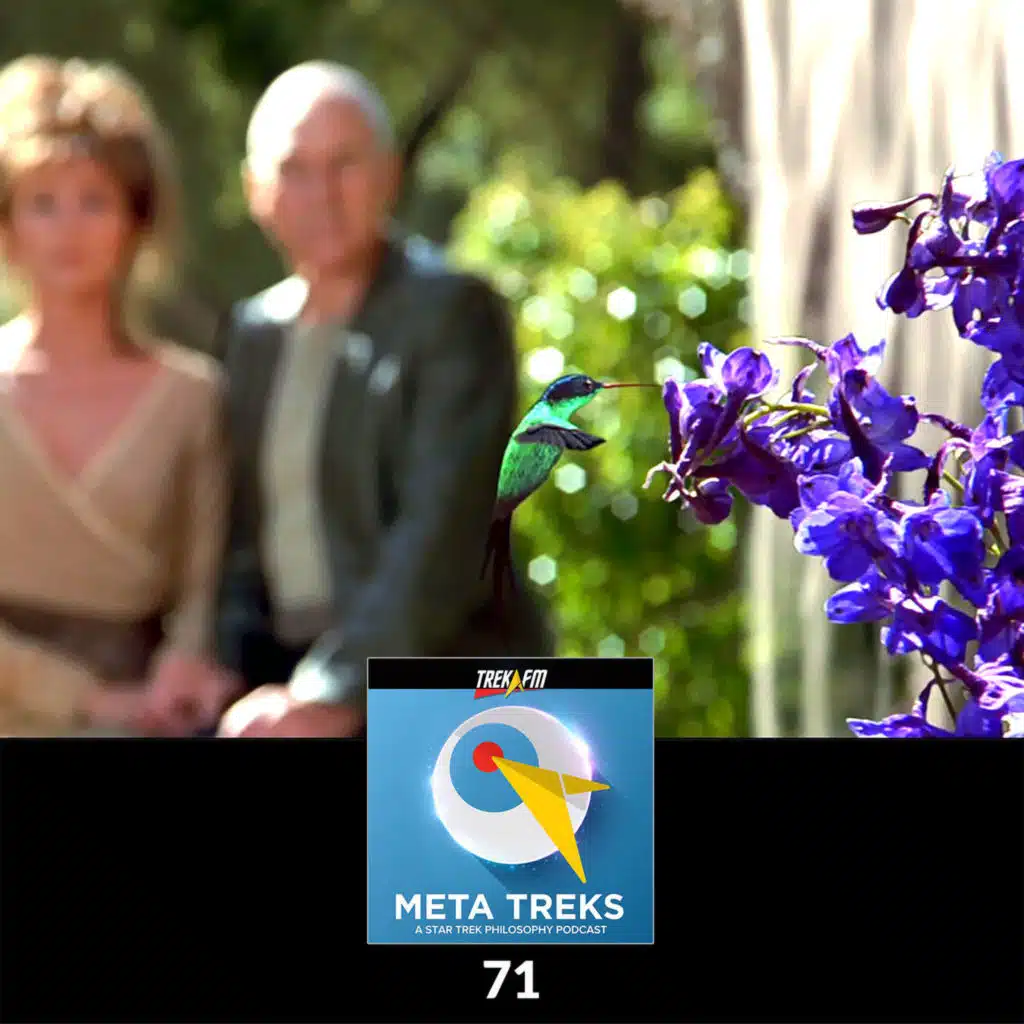 71: Borg Butterfly Effect