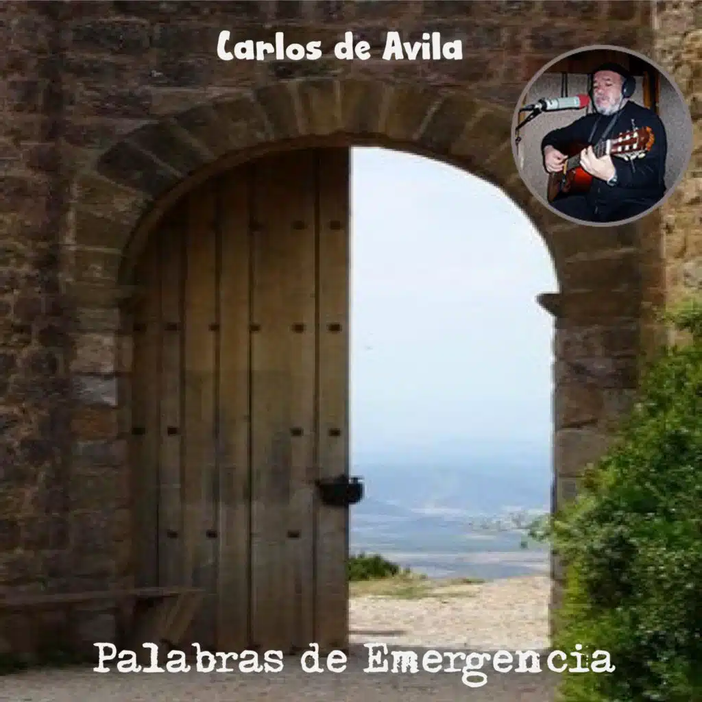 Palabras de emergencia