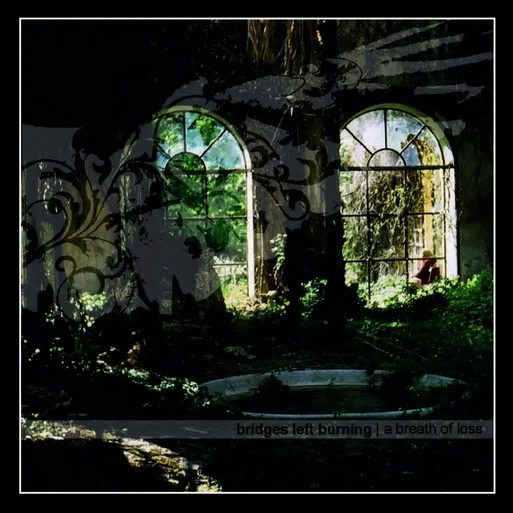 Bridges Left Burning