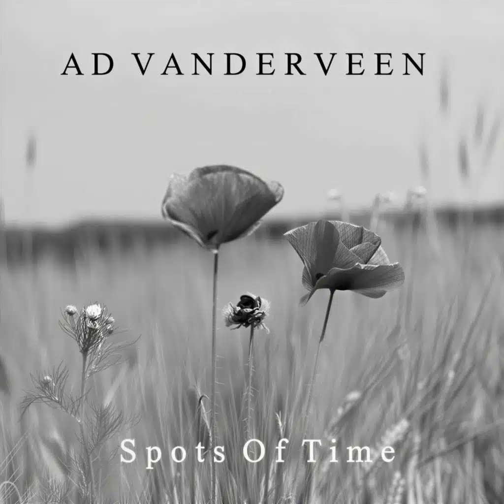 Ad Vanderveen