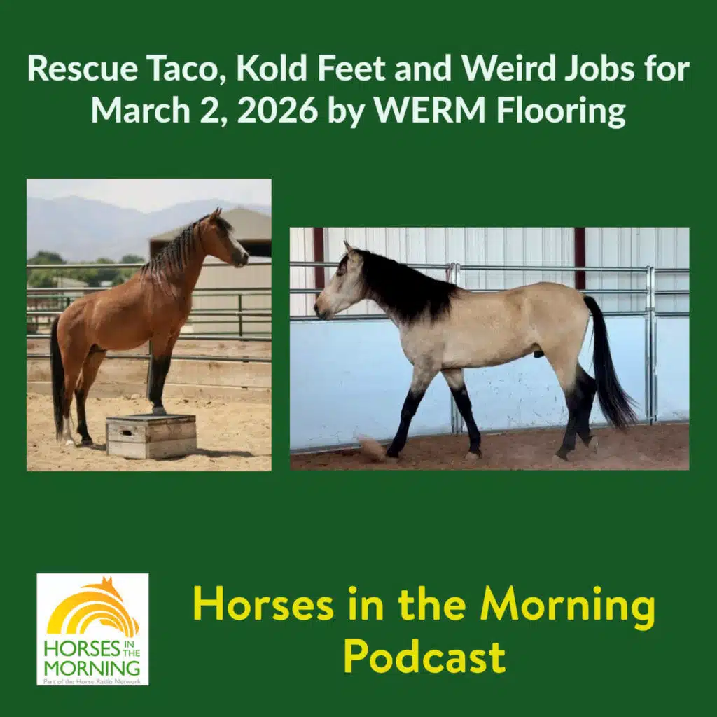 Rescue Taco, Kold Feet and Weird Jobs for March 2, 2026 by WERM Flooring