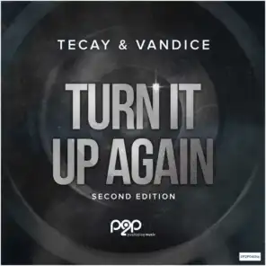 Turn It up Again (DJ R.Gee Über Nacht Radio Edit)