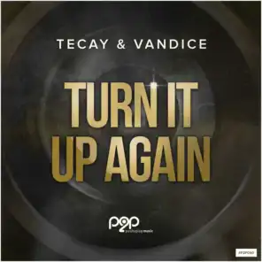 Turn It up Again (Vandice Radio Edit)