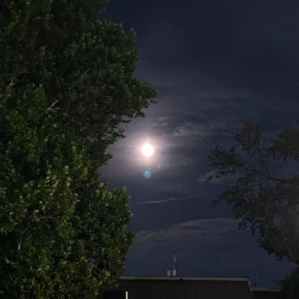 Make It Home (feat. FRANCISCO)