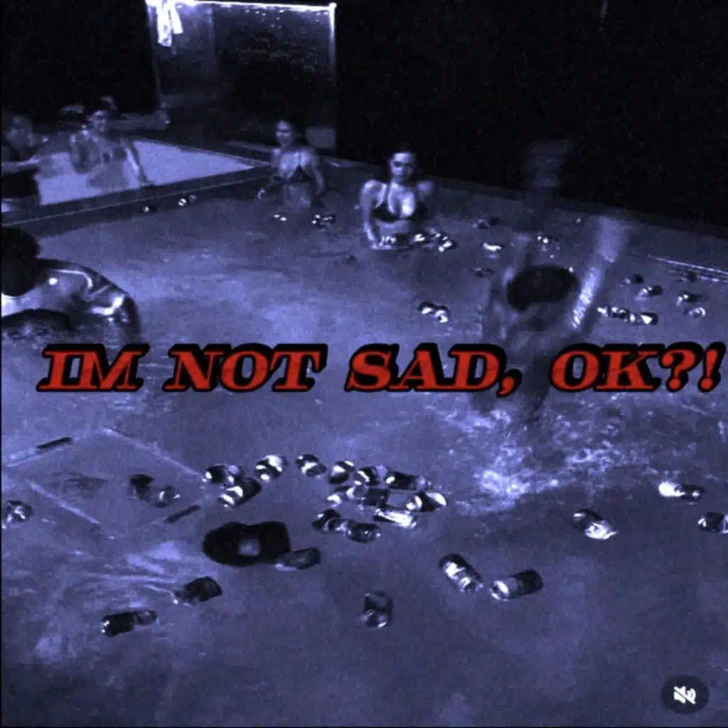 IM NOT SAD, OK?!