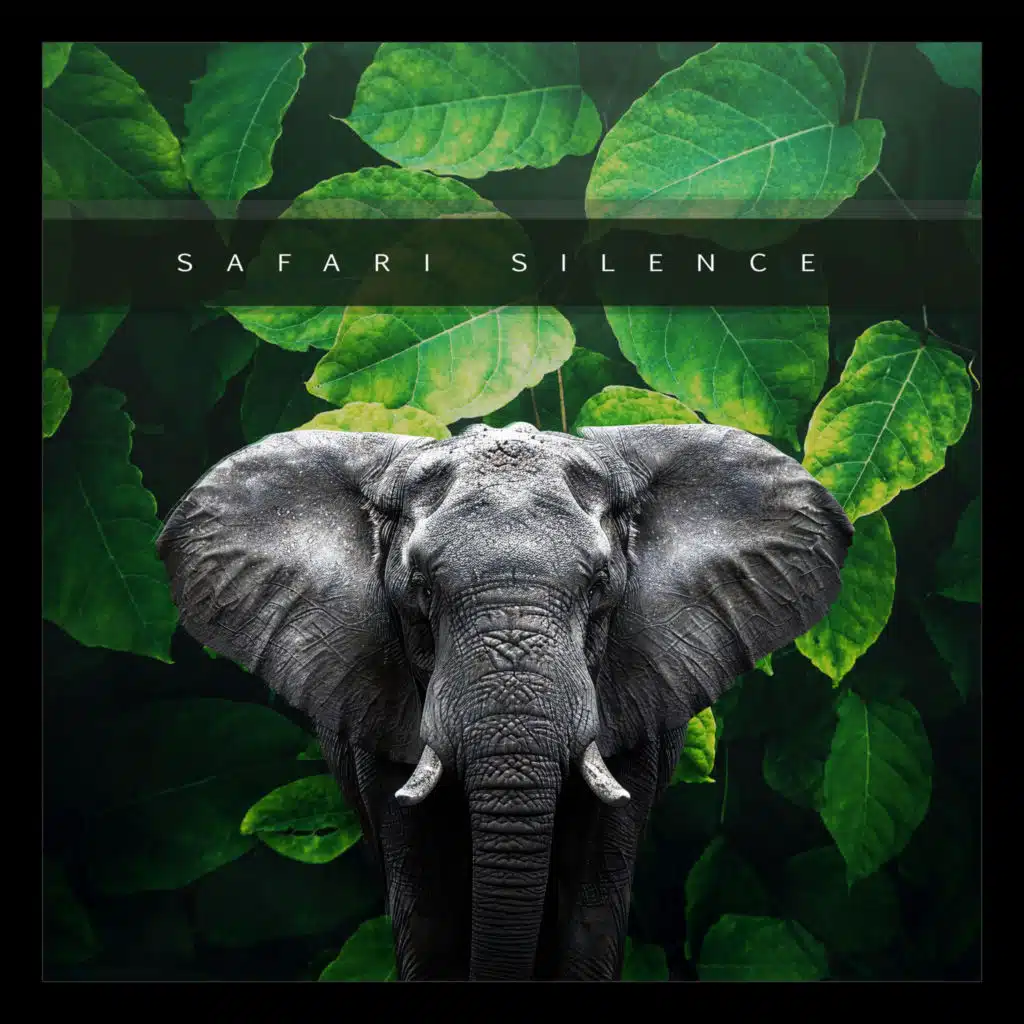 Safari Silence
