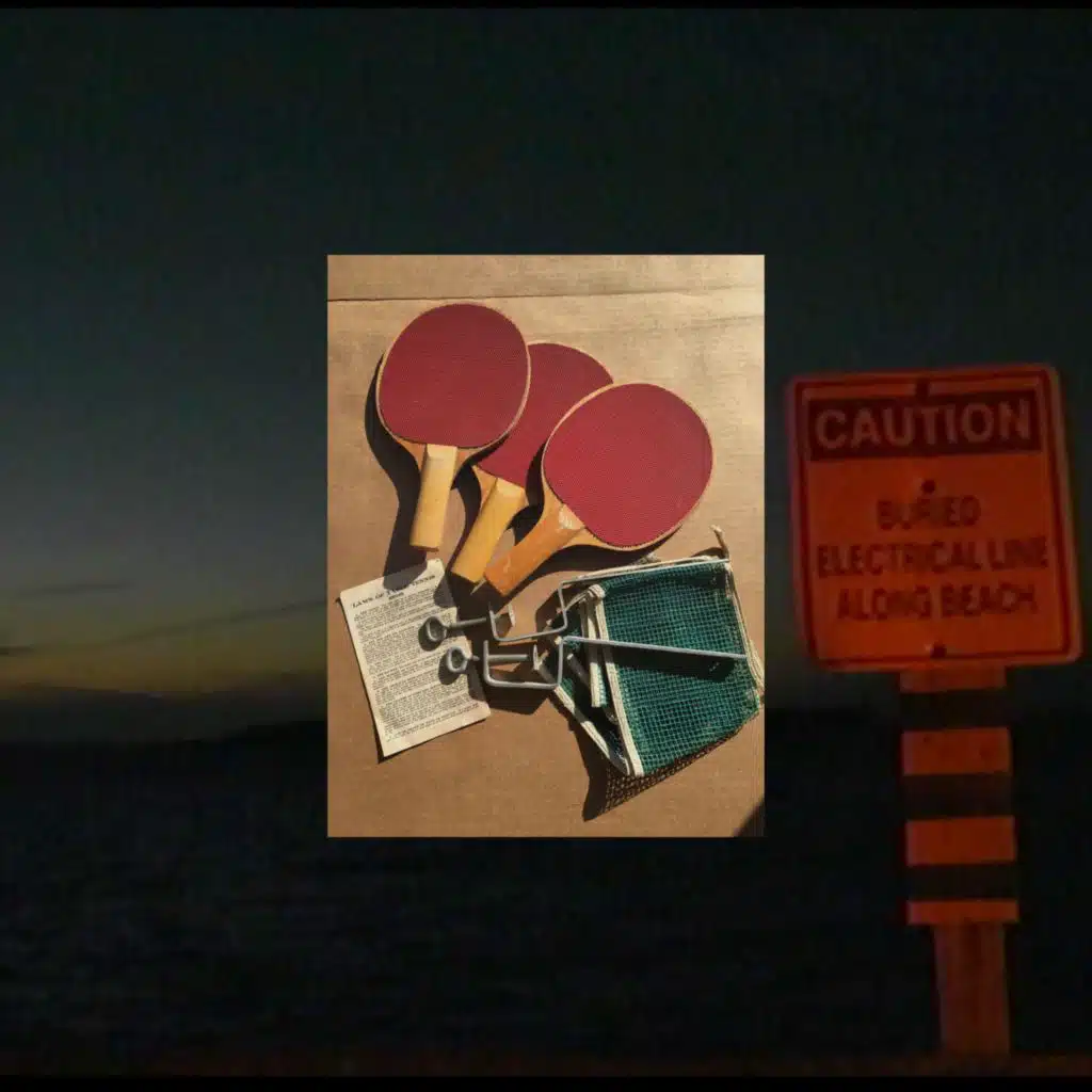 Albert Dalton & Cat Café