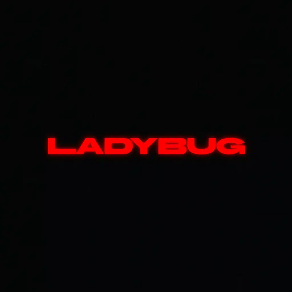 Ladybug