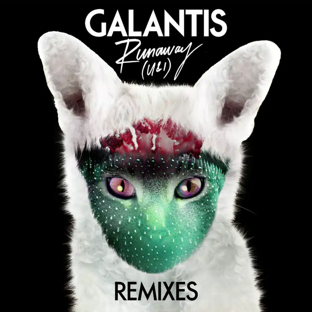 Runaway (U & I) [Quintino Remix]