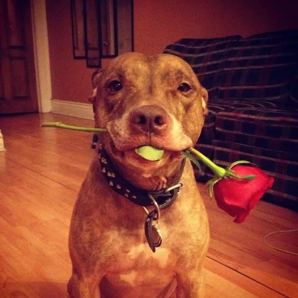 take these before march 11th