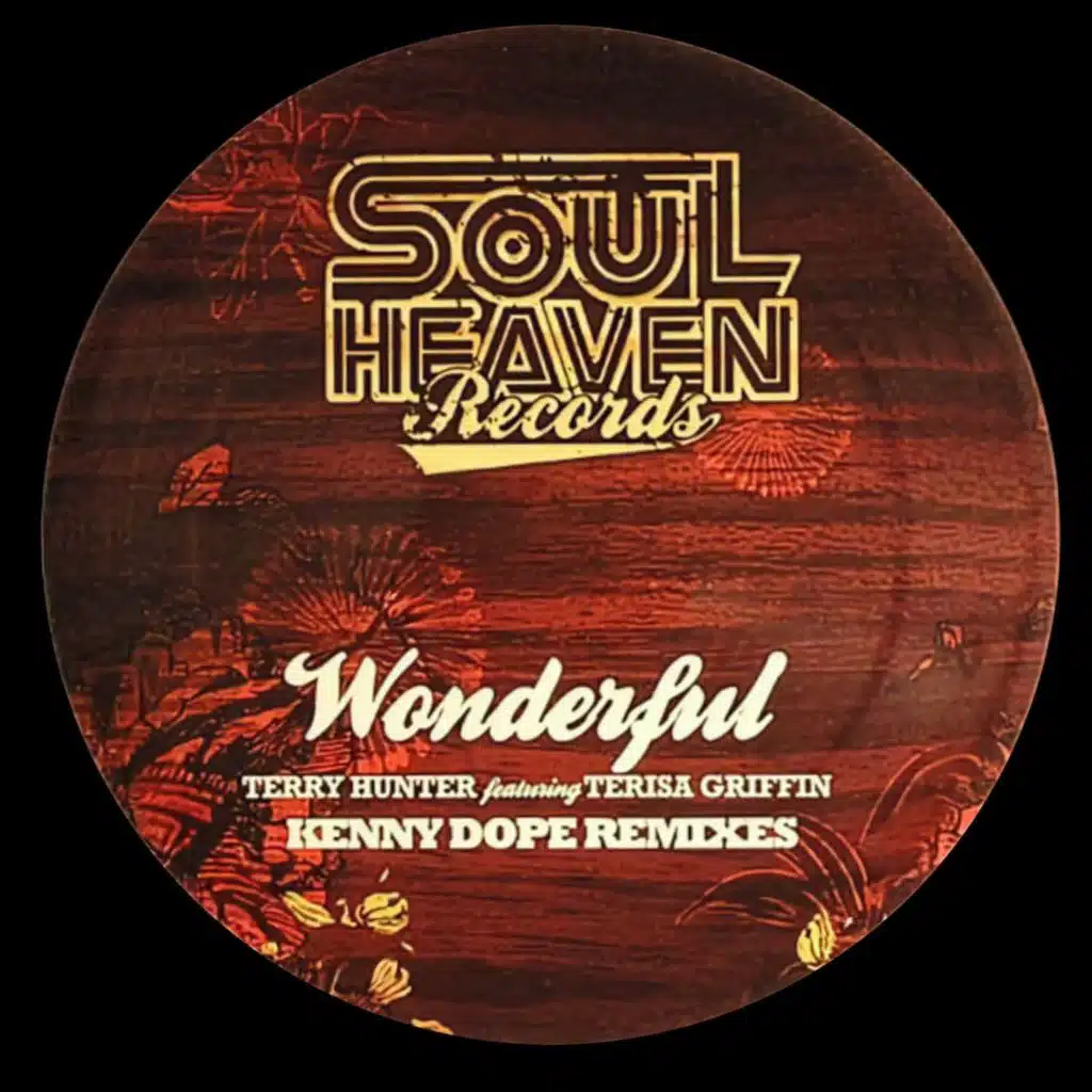 Wonderful (Kenny Dope Accapella) [feat. Terisa Griffin]