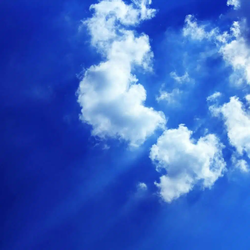 'This My Second Life' by Patrick Charnley