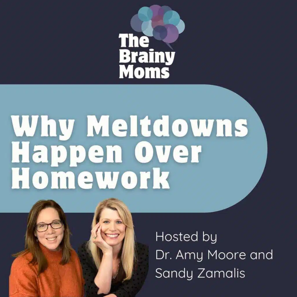 Why Meltdowns Happen Over Homework