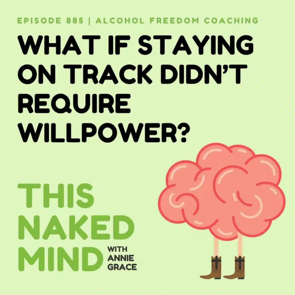 What If Staying On Track Didn’t Require Willpower? | Alcohol Freedom Coaching | EP 885