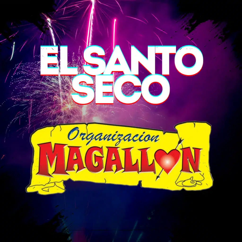 Organización Magallon