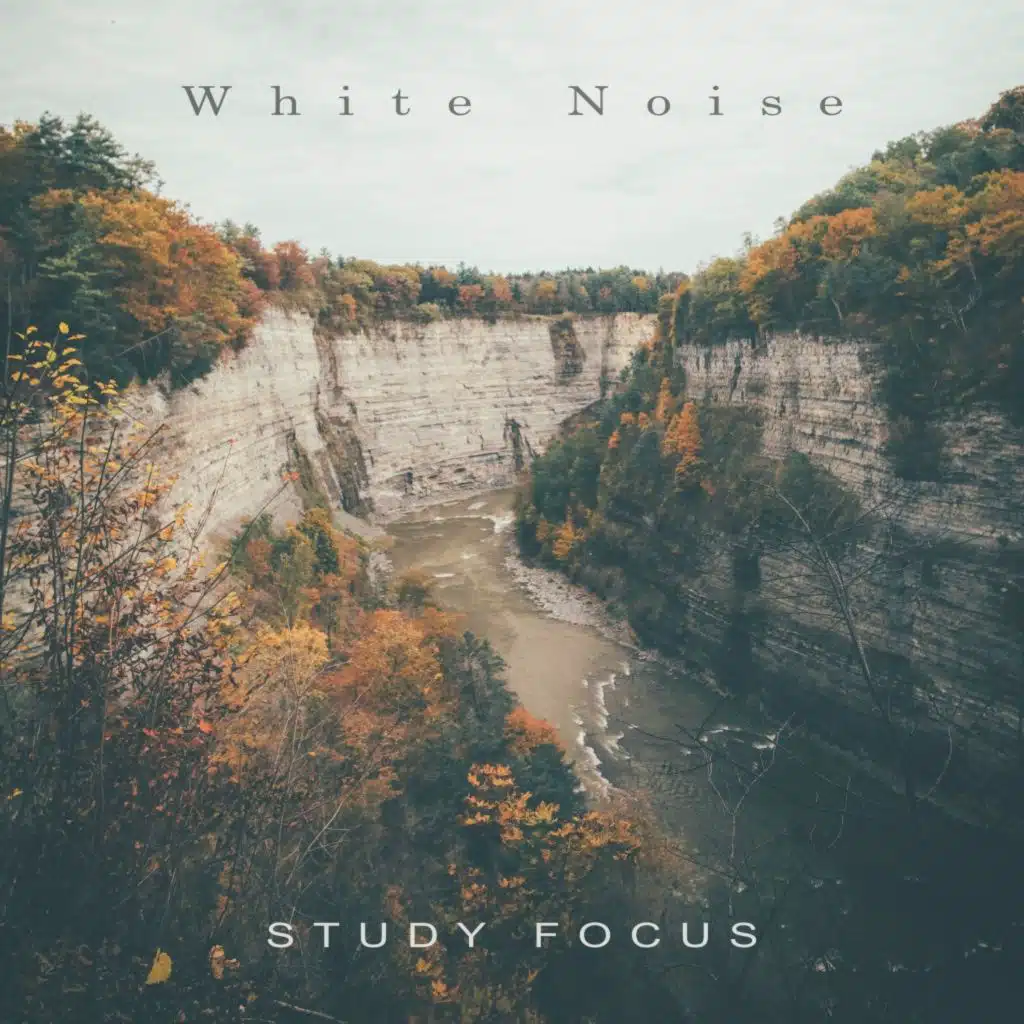 Study Focus