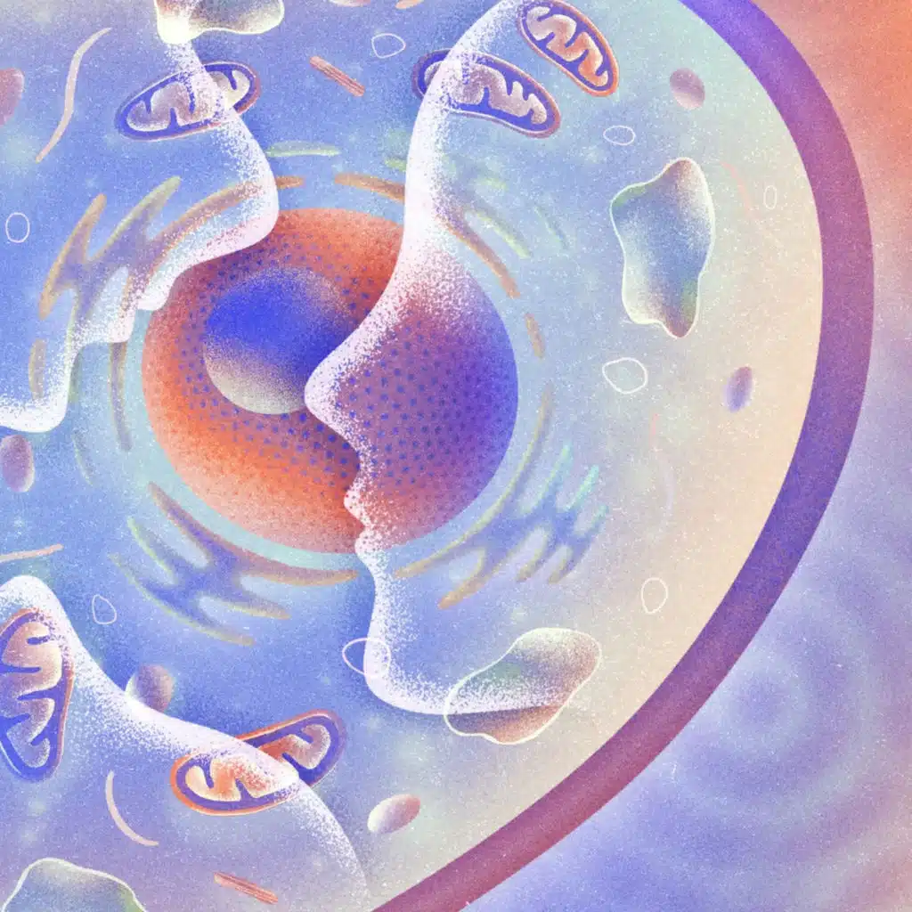 What Can a Cell Remember?