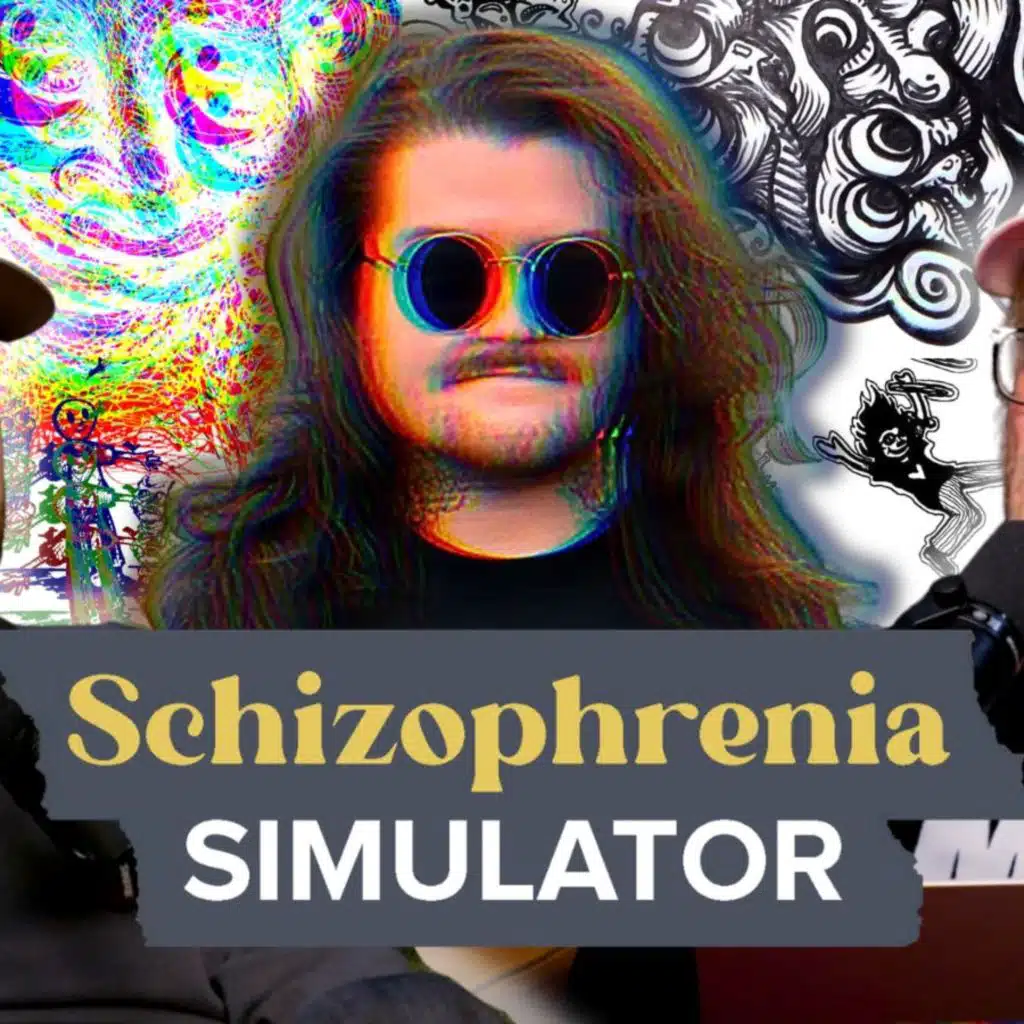Schizophrenia Simulator