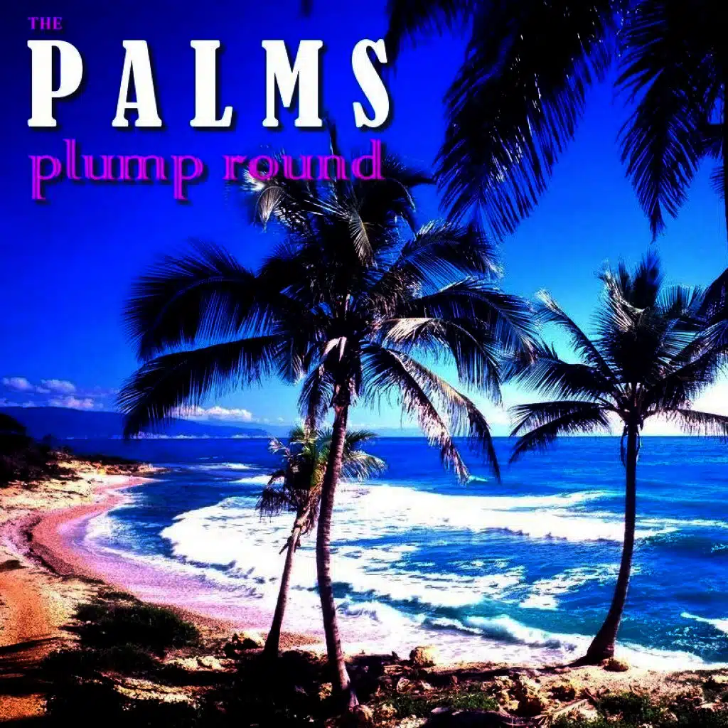 Plump Round (Original Mix)