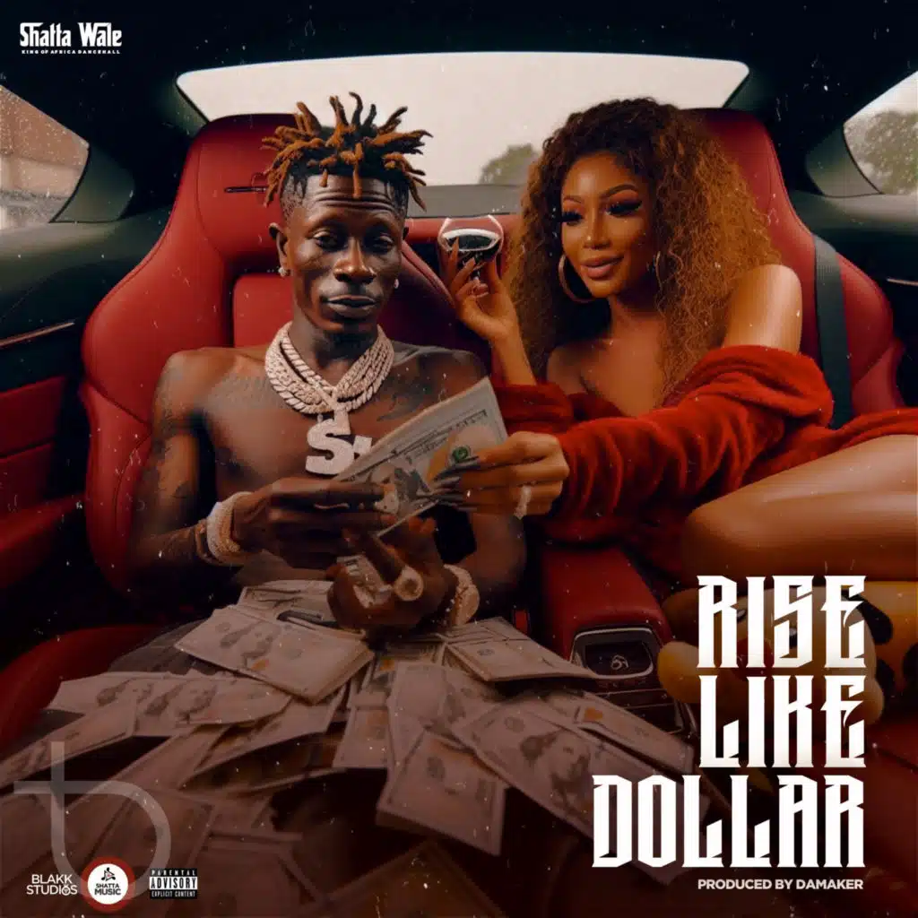 Rise Like Dollar