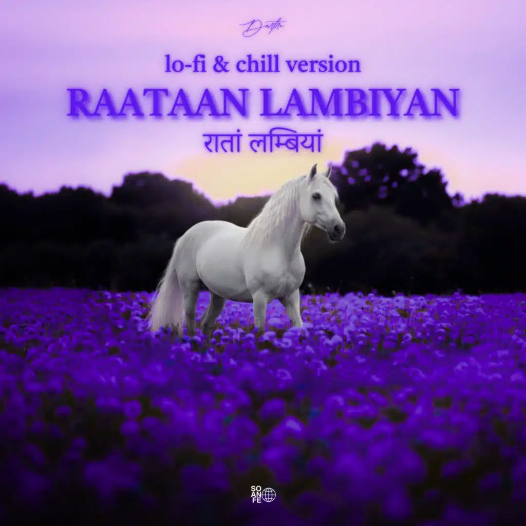 Raataan Lambiyan (Lo-fi & Chill Vers.)