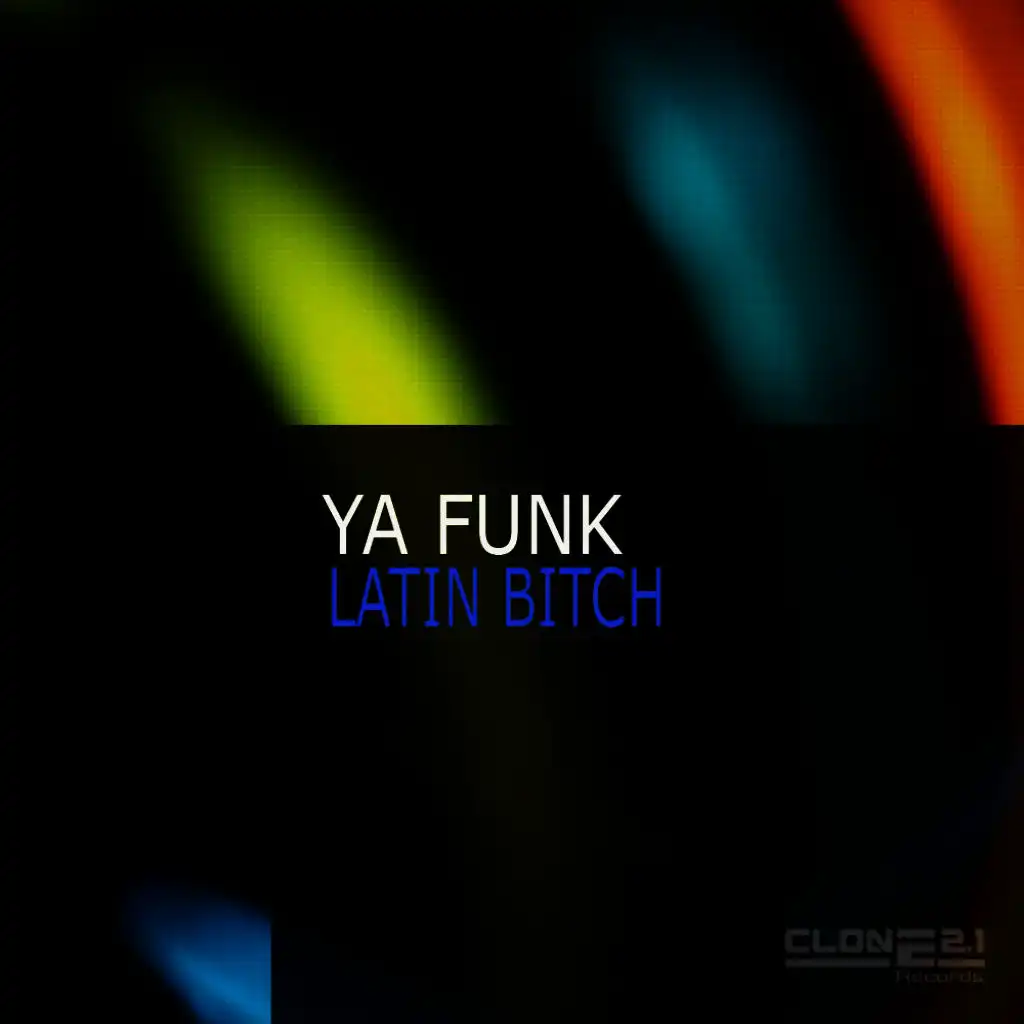 Latin Bitch (El Baile Edit)