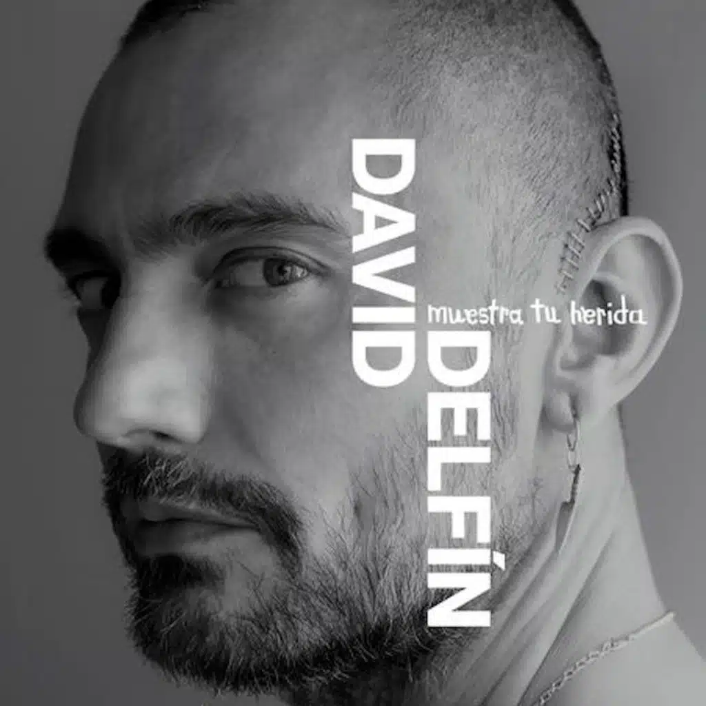 Davidelfin, Muestra tu Herida BSO