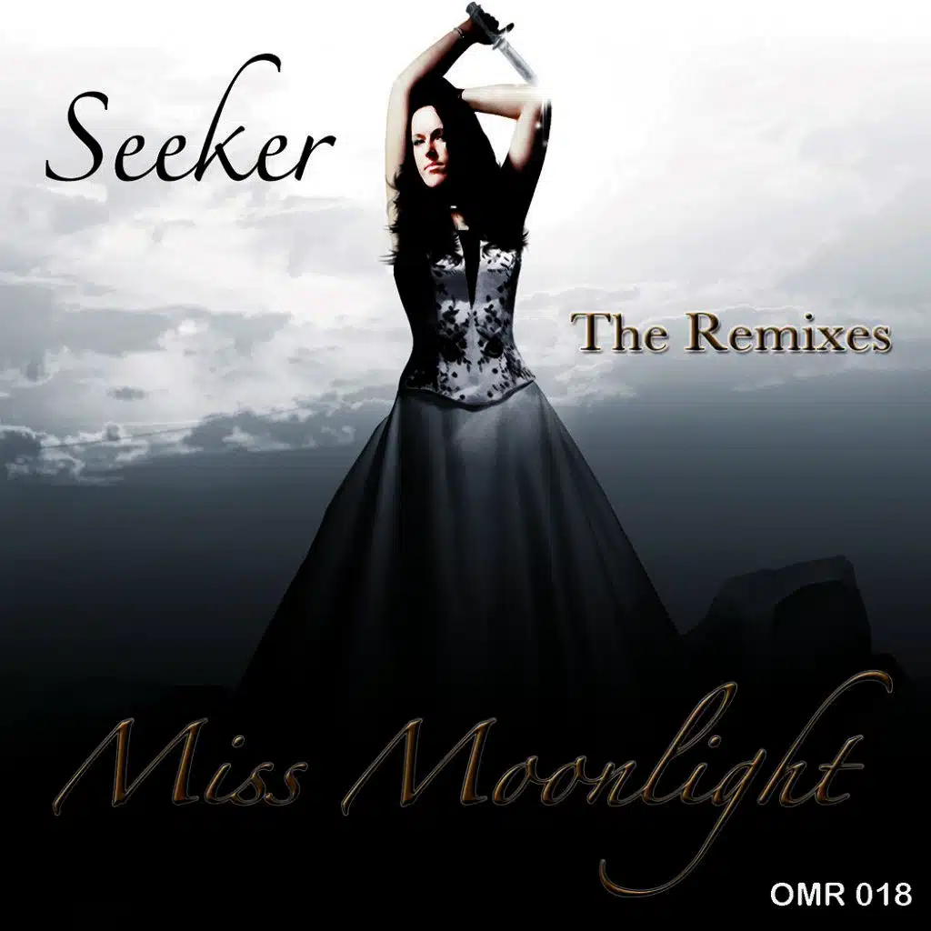 Seeker - The Remixes