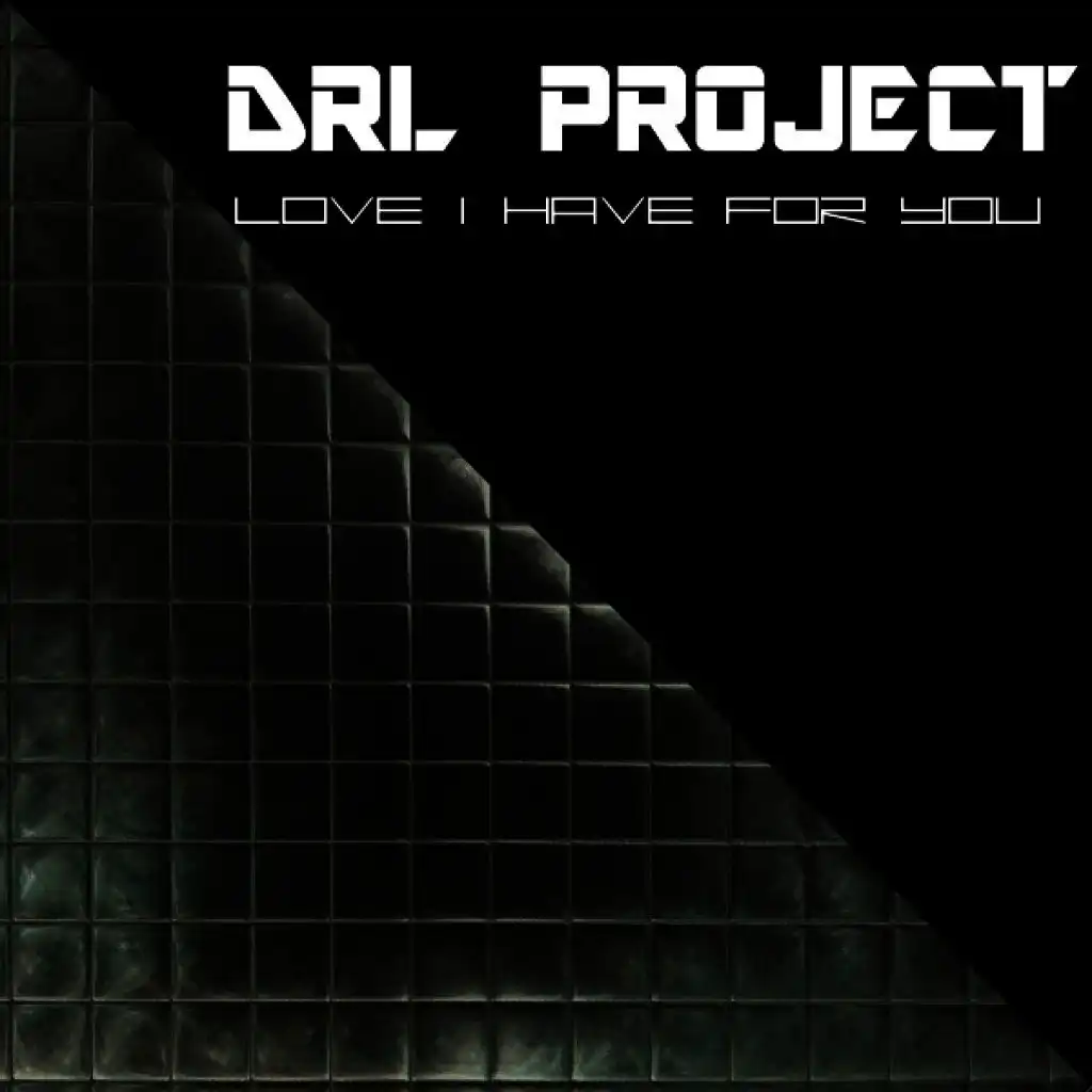 Drl Project Love I Have for You