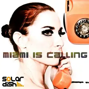 Solardish Sampler 2011 - Miami Is Calling