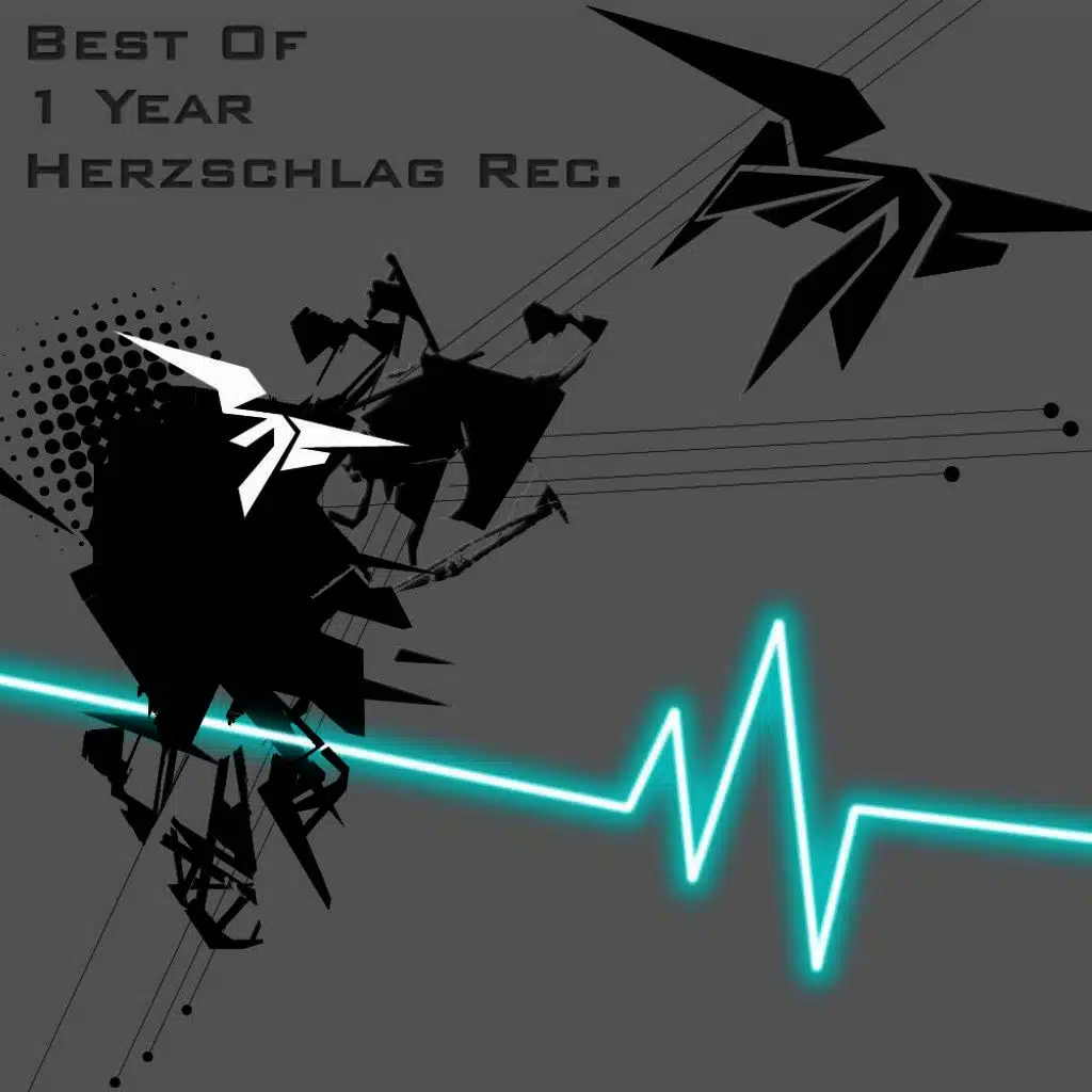 Best of 1 Year Herzschlag Rec.