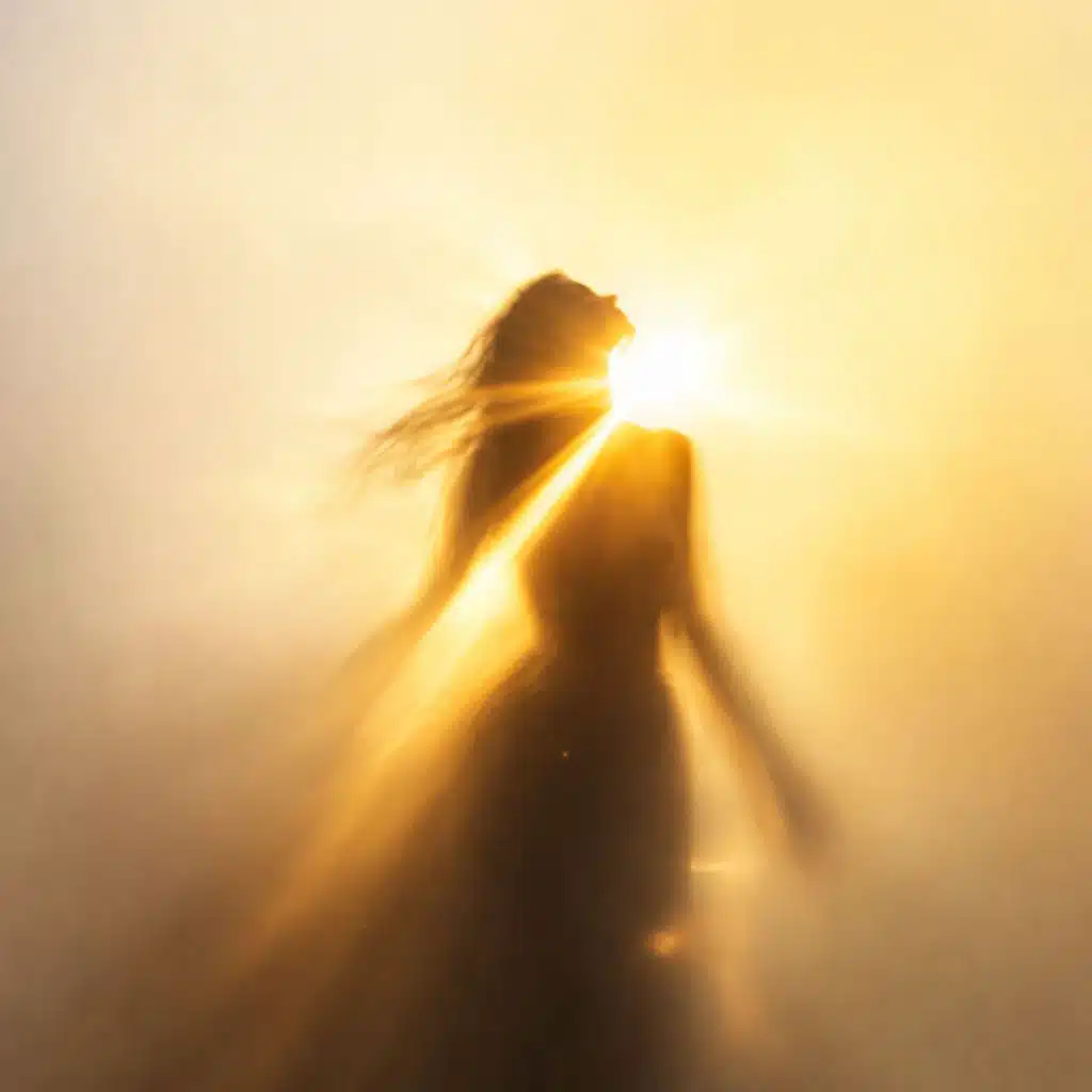 Magnetic Like Sunshine