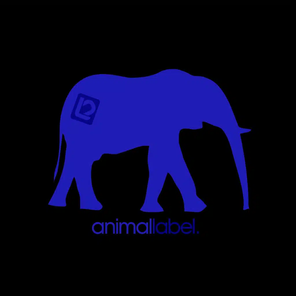 Shaman / Someone Inside the Ice